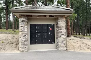 3135 Promise Pt, Colorado Springs, CO 80921 - Photo 16