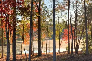 37 Farmstead Way, Senoia, GA 30276 - Photo 84