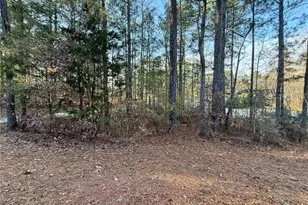 37 Farmstead Way, Senoia, GA 30276 - Photo 88