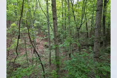 0 S Twin Oaks Drive, Ellijay, GA 30540 - Photo 8