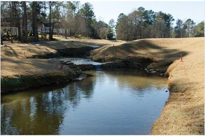 40 Dover Cliff Way, Alpharetta, GA 30022 - Photo 24