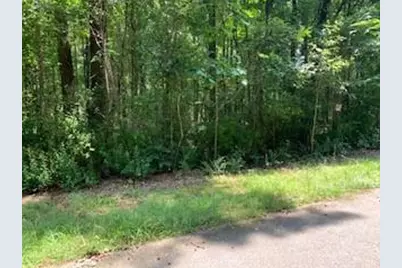 0 Willow Creek Road, Fairburn, GA 30213 - Photo 2