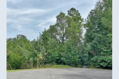 0 La Sole Lane, Waverly, GA 31565 - Photo 8