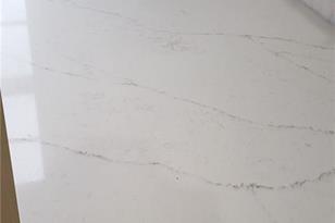 1221 Bickham Way SE - Photo 10