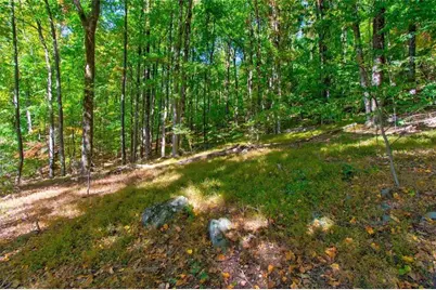 228 Stone Cliff Trace, Cleveland, GA 30528 - Photo 16