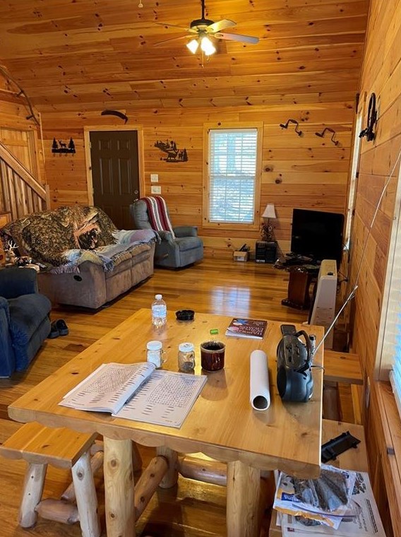 876 Colbert Mountain Rd, Blue Ridge, GA 30513-0052