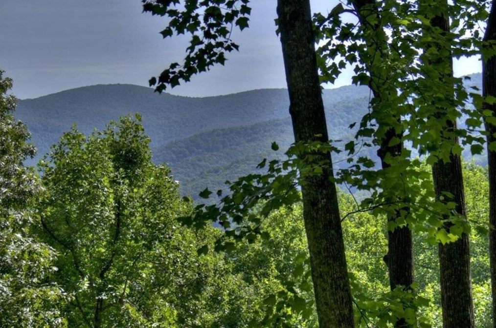 1871 Walnut Ridge, Ellijay, GA 30536