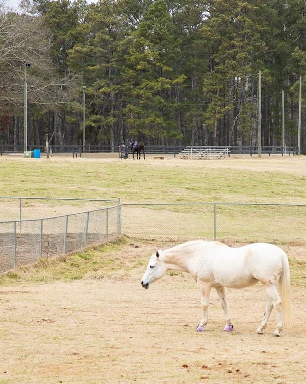 591 Lee Ann Dr, Smyrna GA  30082-3528 exterior