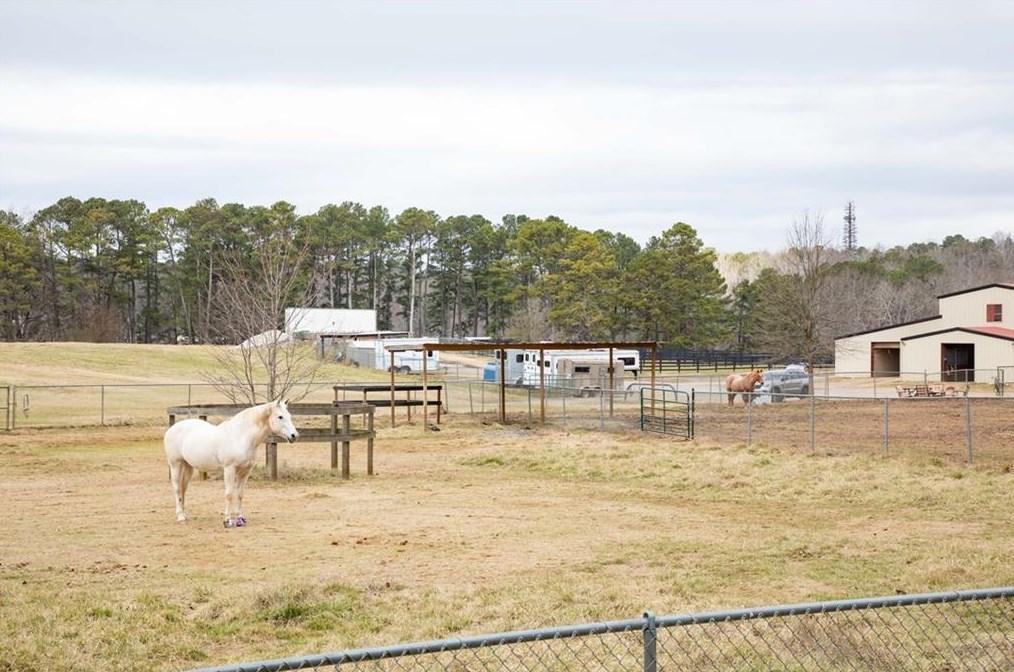 591 Lee Ann Dr, Smyrna GA  30082-3528 exterior