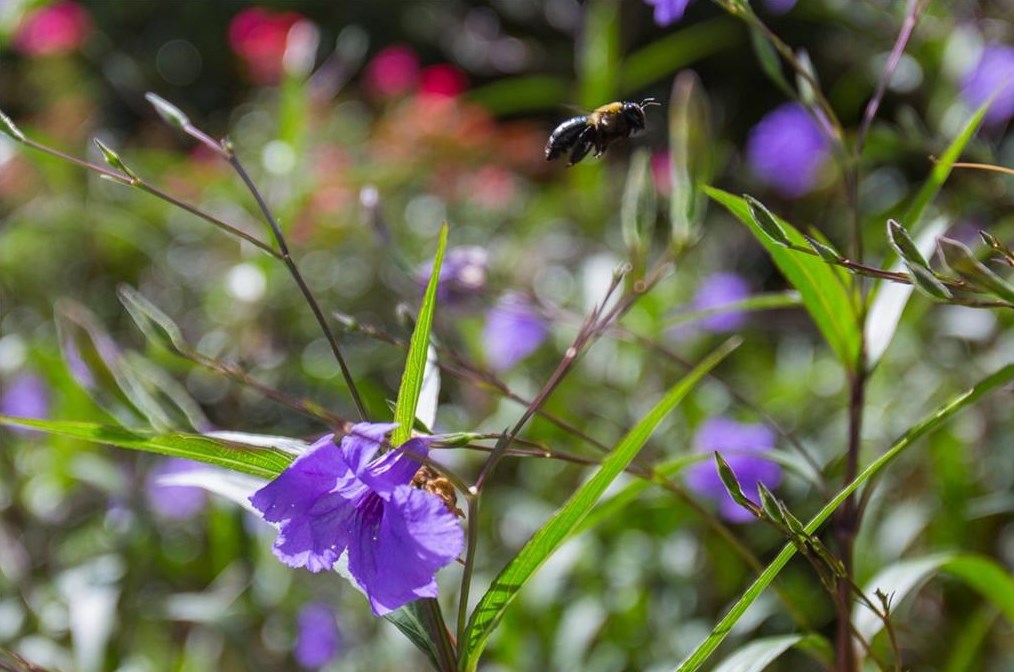 2484 Lavista Rd, Decatur GA  30033-1921 exterior