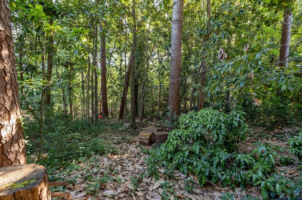 2354 Wineleas Rd, Decatur GA  30033-5519 exterior