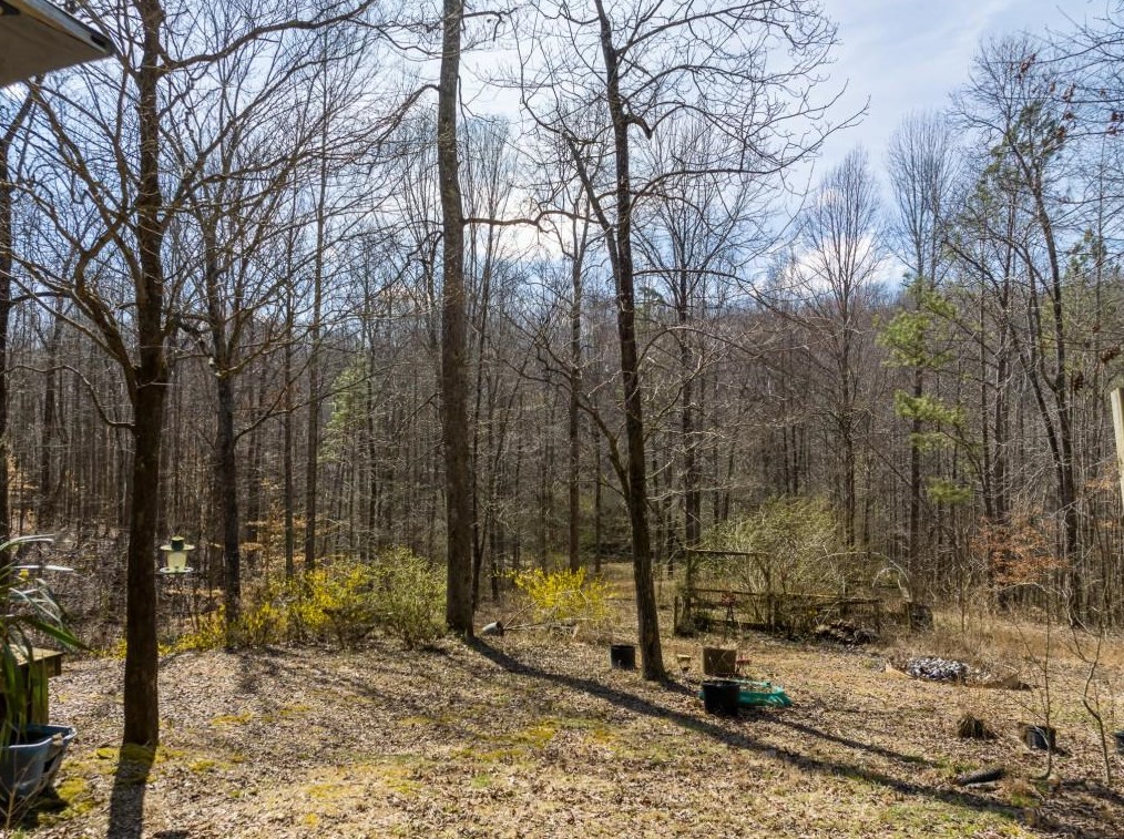 243 Mill Pond Ct, Big Canoe, GA 30143