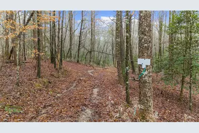 Lot 5 Still Rd, Dahlonega, GA 30533 - Photo 4