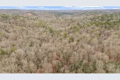 Lot 5 Still Rd, Dahlonega, GA 30533 - Photo 18