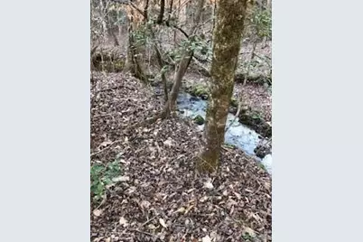 Lot 5 Still Rd, Dahlonega, GA 30533 - Photo 8