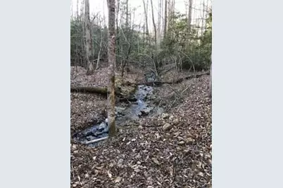 Lot 5 Still Rd, Dahlonega, GA 30533 - Photo 6