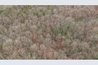 Lot 5 Still Rd, Dahlonega, GA 30533 - Photo 14