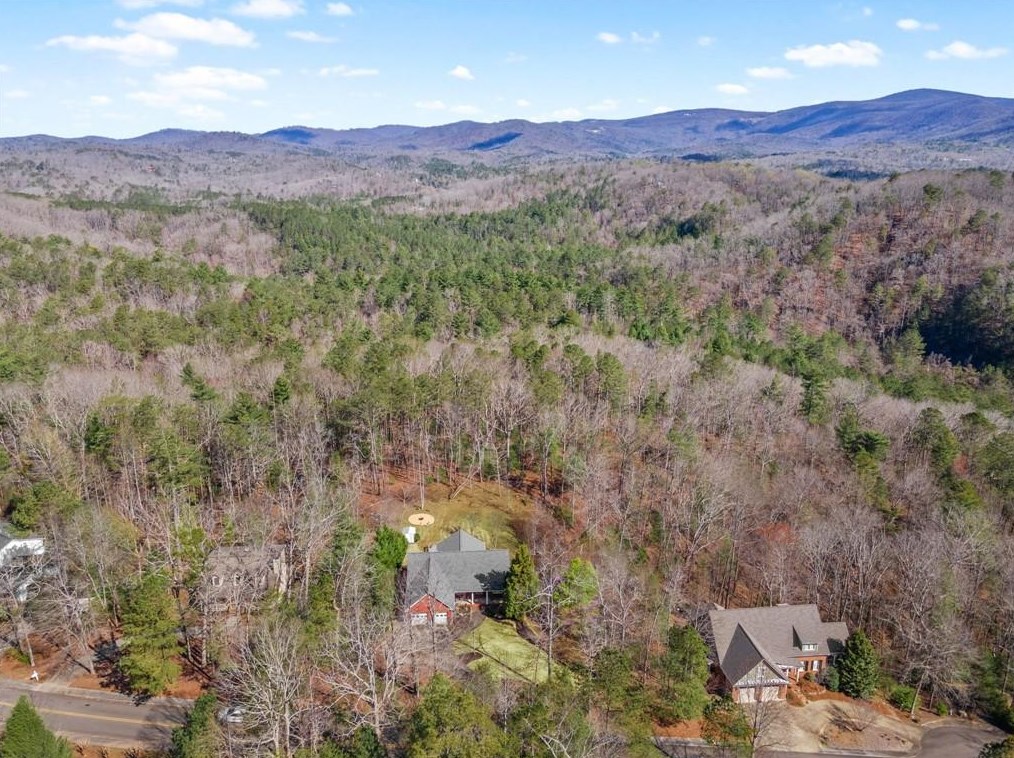 141 Twin Springs Ln, Big Canoe, GA 30143
