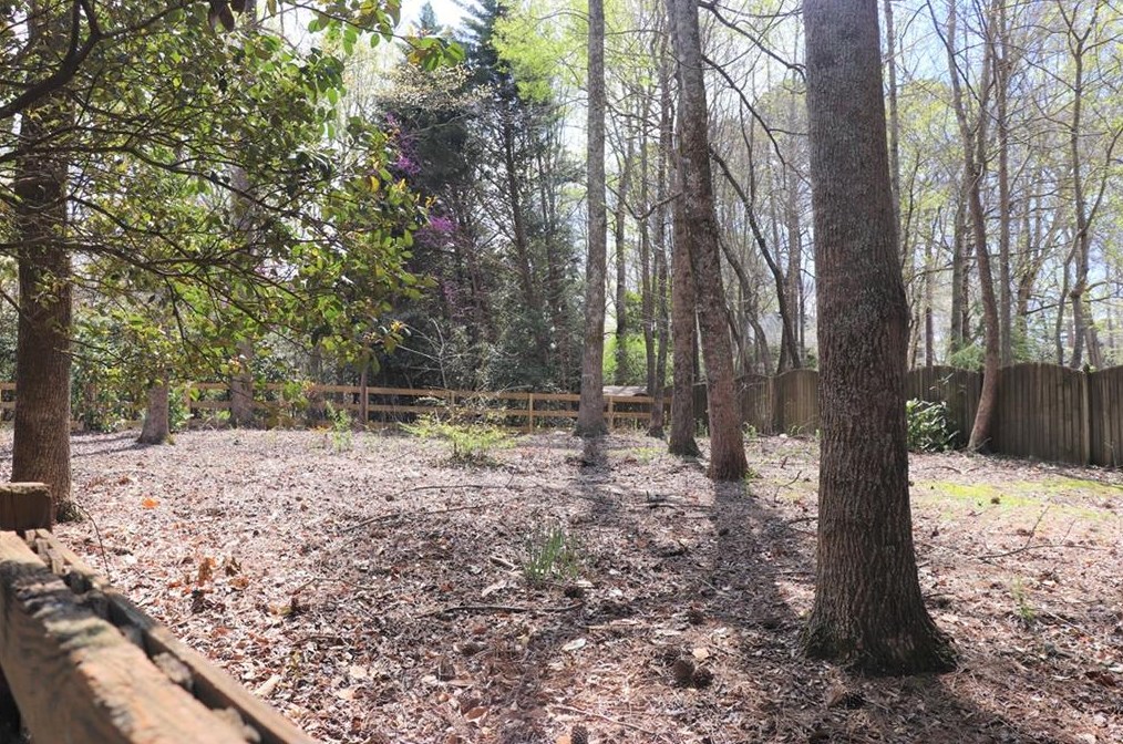 120 Barrow Downs, Alpharetta GA  30004-4013 exterior