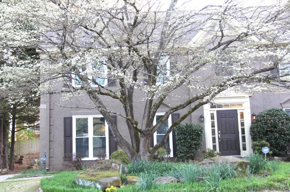 8938 Carroll Manor Dr, Atlanta, GA 30350