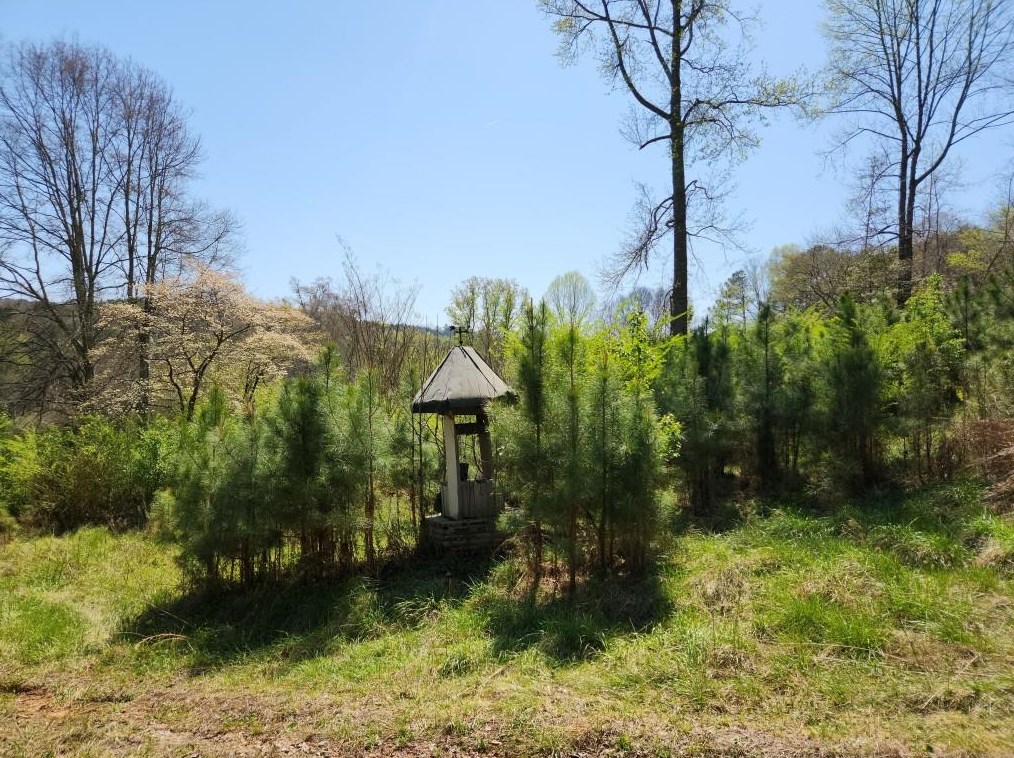 2201 Long Rd, Ball Ground, GA 30107