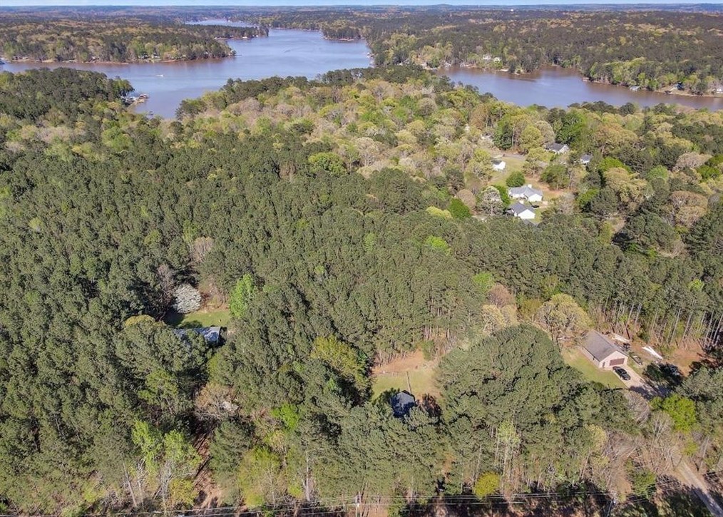 309 Tussahaw Point Dr, Jackson, GA 30233