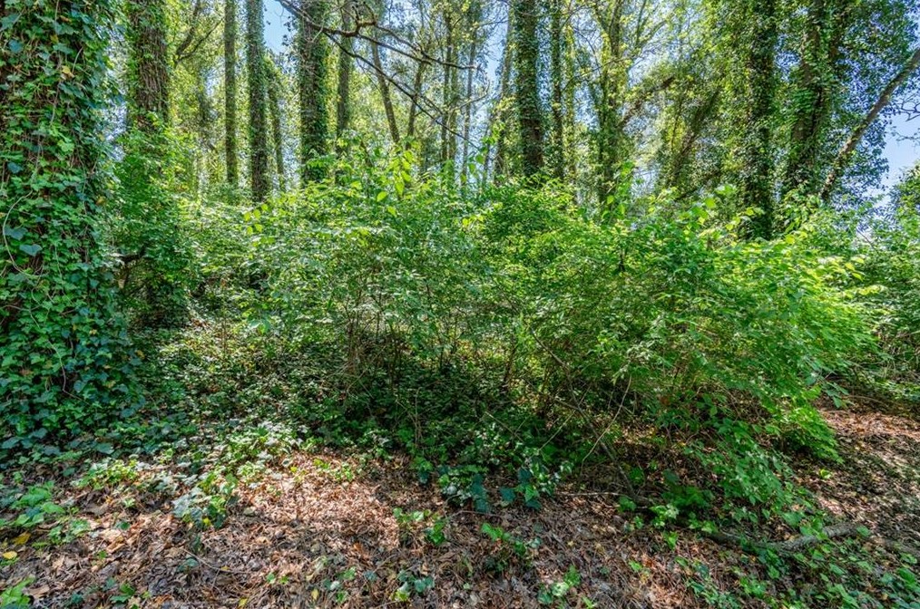 3723 Glenwood Rd, Decatur GA  30032-4527 exterior