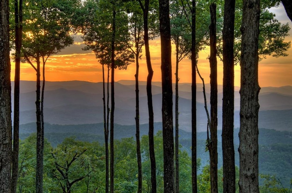 73 Ganar Way, Blue Ridge, GA 30513
