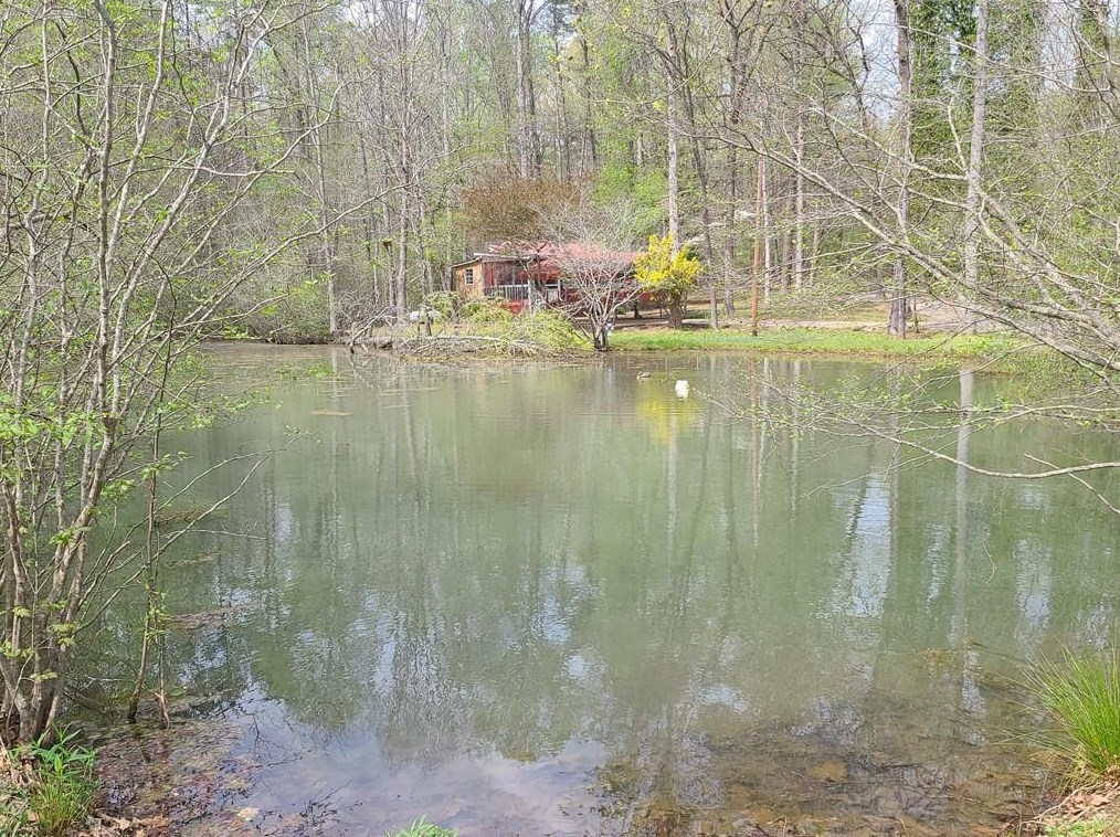 874 Horton Rd, Dahlonega, GA 30533
