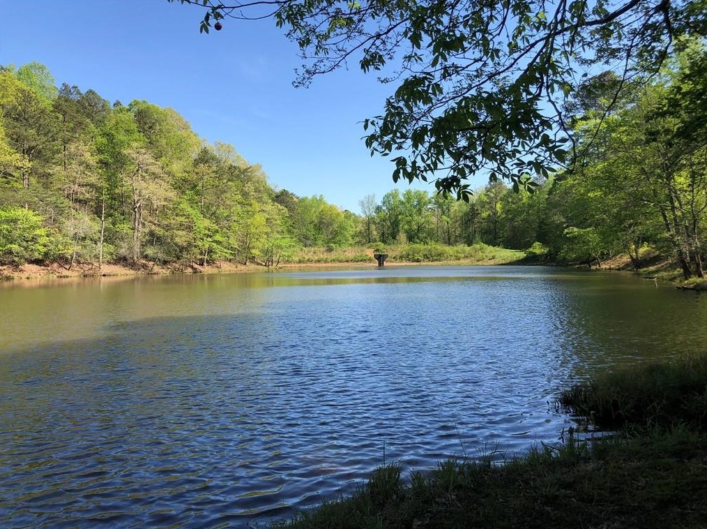 227 Mountain Lk Vw Dr, Big Canoe, GA 30143