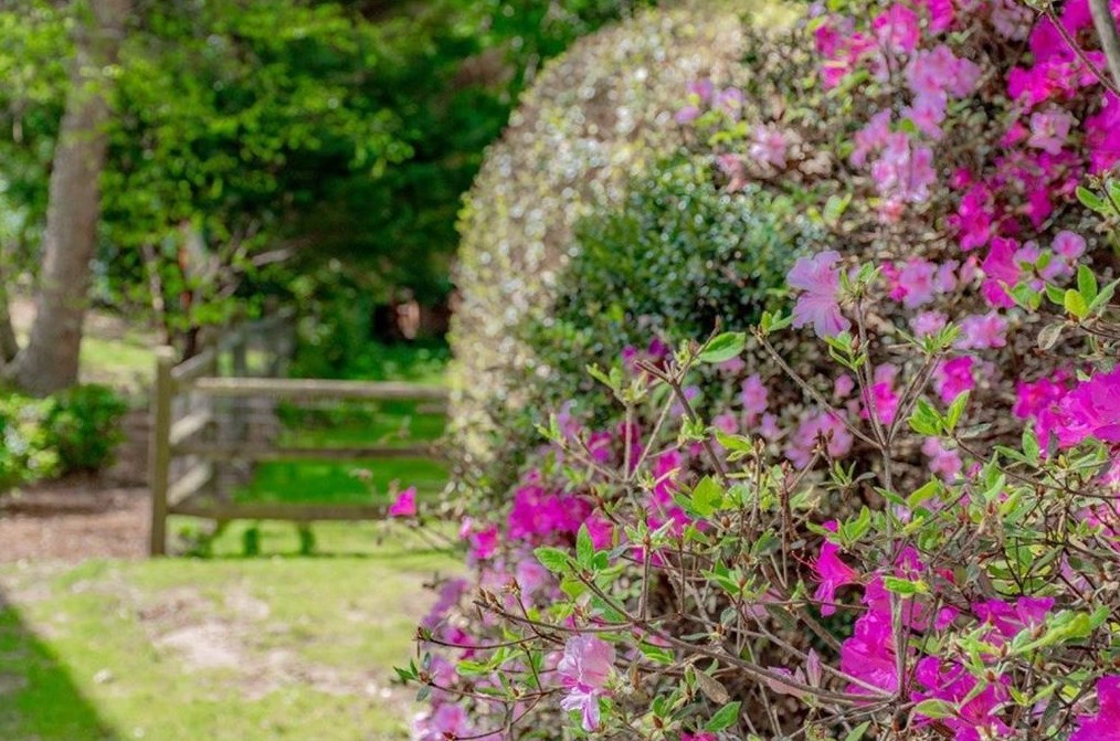 925 Linkside Ter, Alpharetta GA  30005-7842 exterior