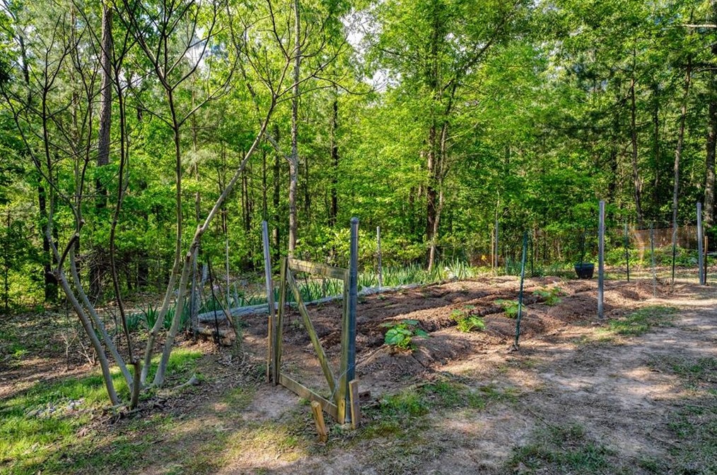 1015 Lewis Ridge Cir, Lawrenceville GA  30045-8899 exterior