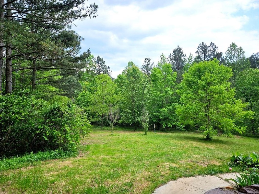 112 Tunnel Hill Dr, Ball Ground, GA 30107
