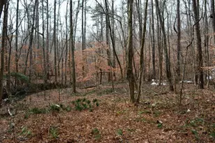 0 Willow Springs Rd, Dallas, GA 30132 - Photo 2