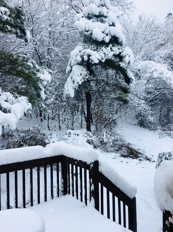 32 Kay Road Ne, White, GA 30184