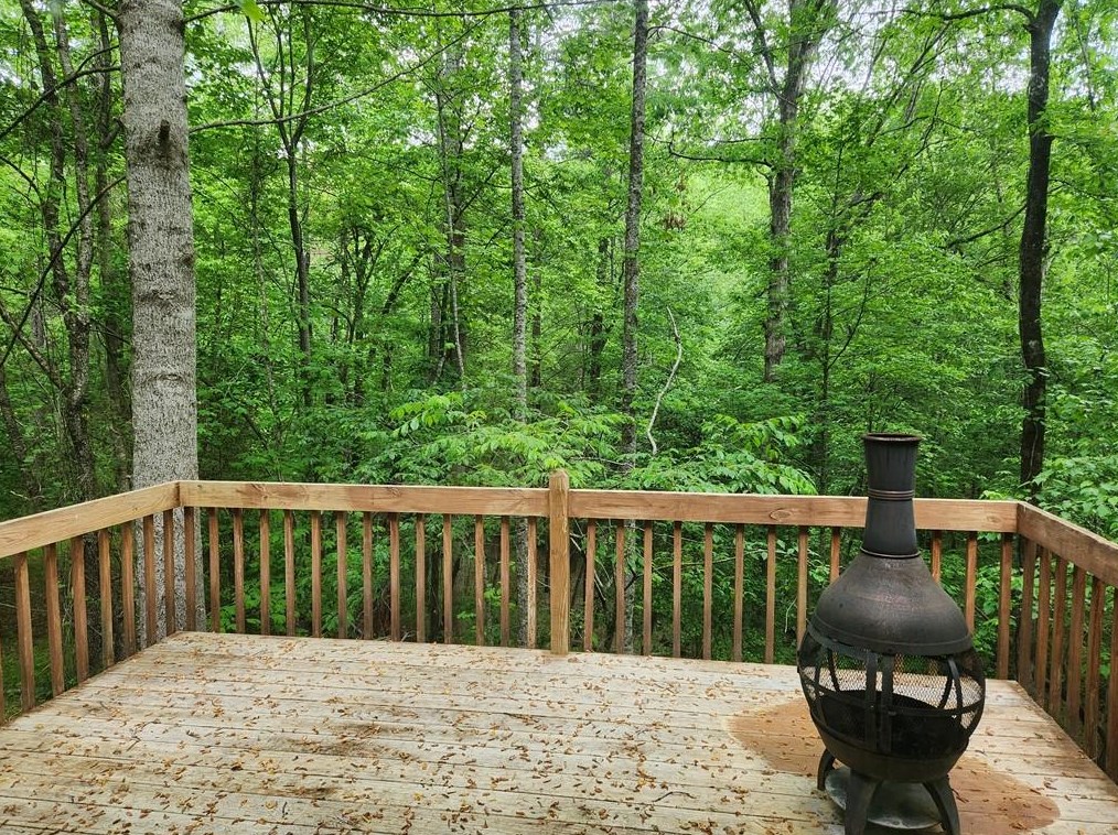 299 Yellow Bluff Rd, Dahlonega, GA 30533