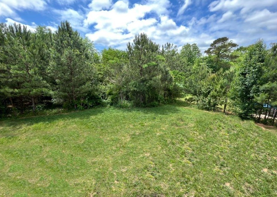 5411 Latham Manor Dr, Gainesville GA  30506-6948 exterior