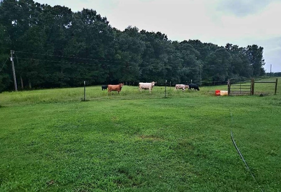 1115 Deer Run Ln, Canon, GA 30520