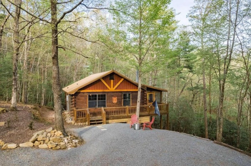 1311 Little Bushy Head Rd #247, Blue Ridge, GA 30513