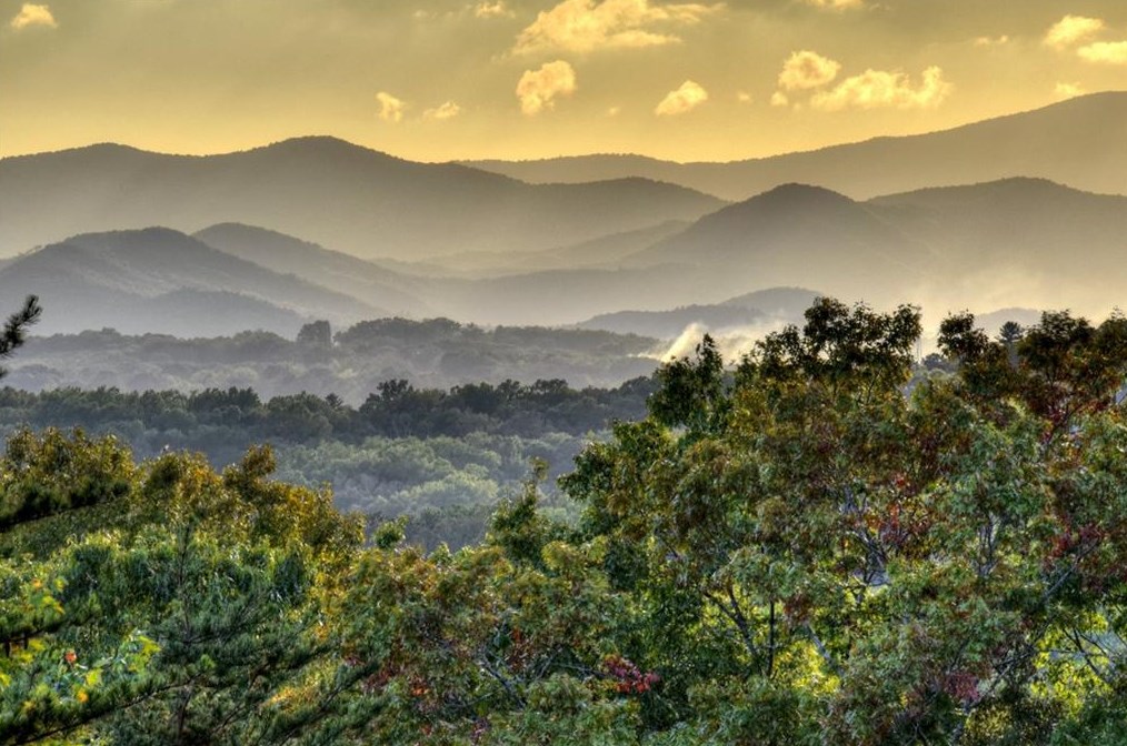 516 Endless View Rd, Mineral Bluff, GA 30559