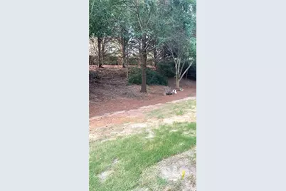 2882 Cross Creek Drive, Cumming, GA 30040 - Photo 28