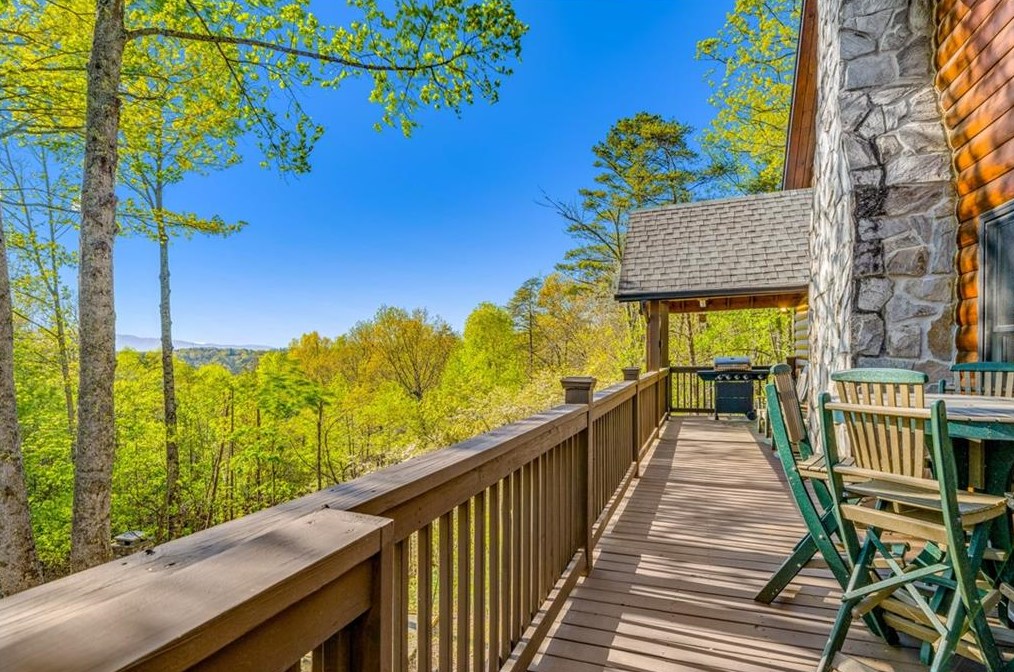 1550 My Mountain Rd, Morganton, GA 30560