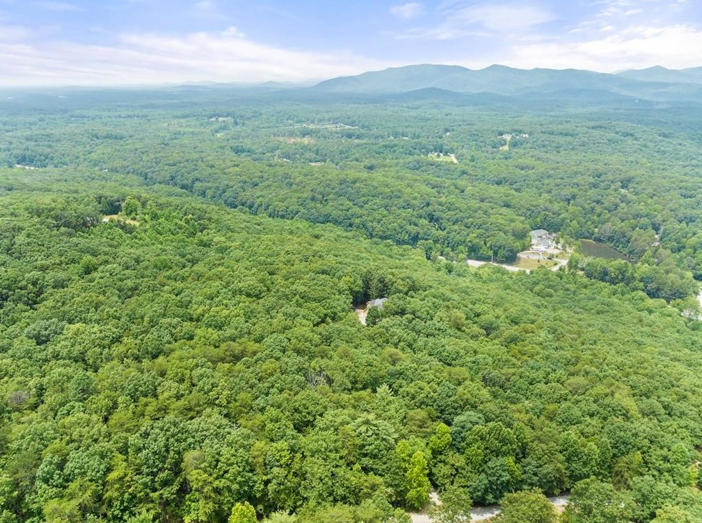 189 Soaring Hawk Trail, Cleveland, GA 30528
