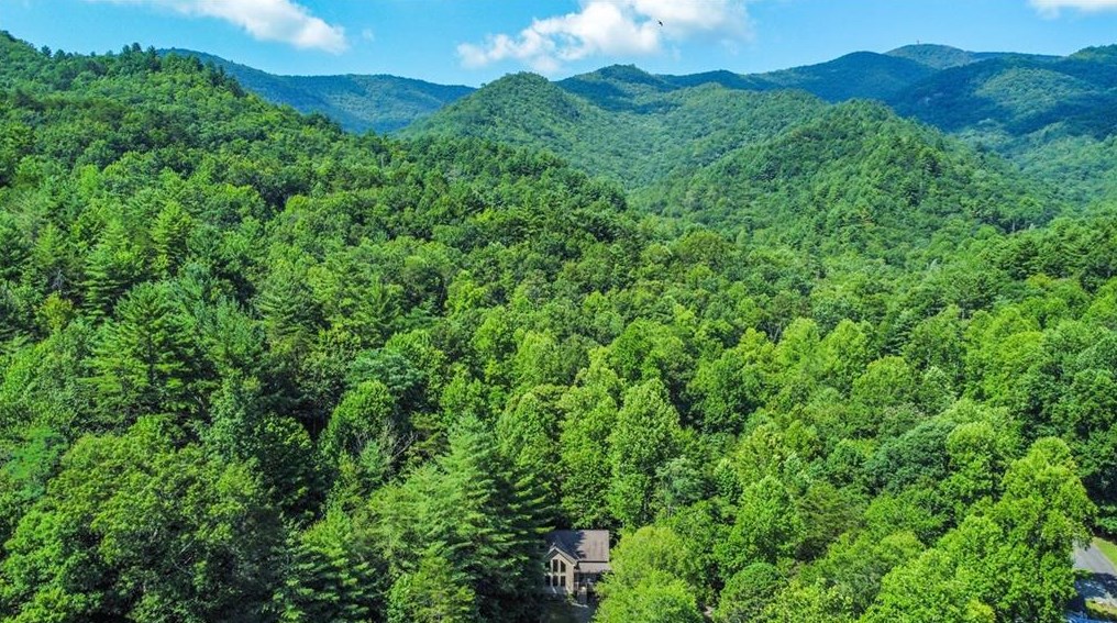 1088 Ruby Lake Dr, Hiawassee, GA 30546