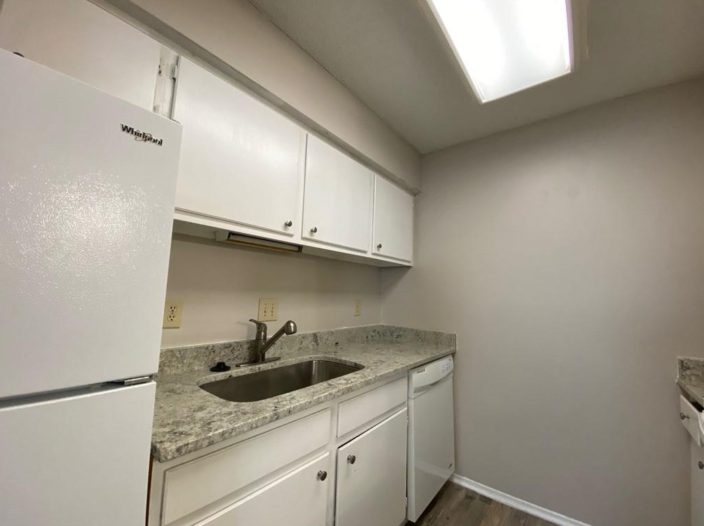 1313 Old Hammond Chase, Atlanta, GA 30350