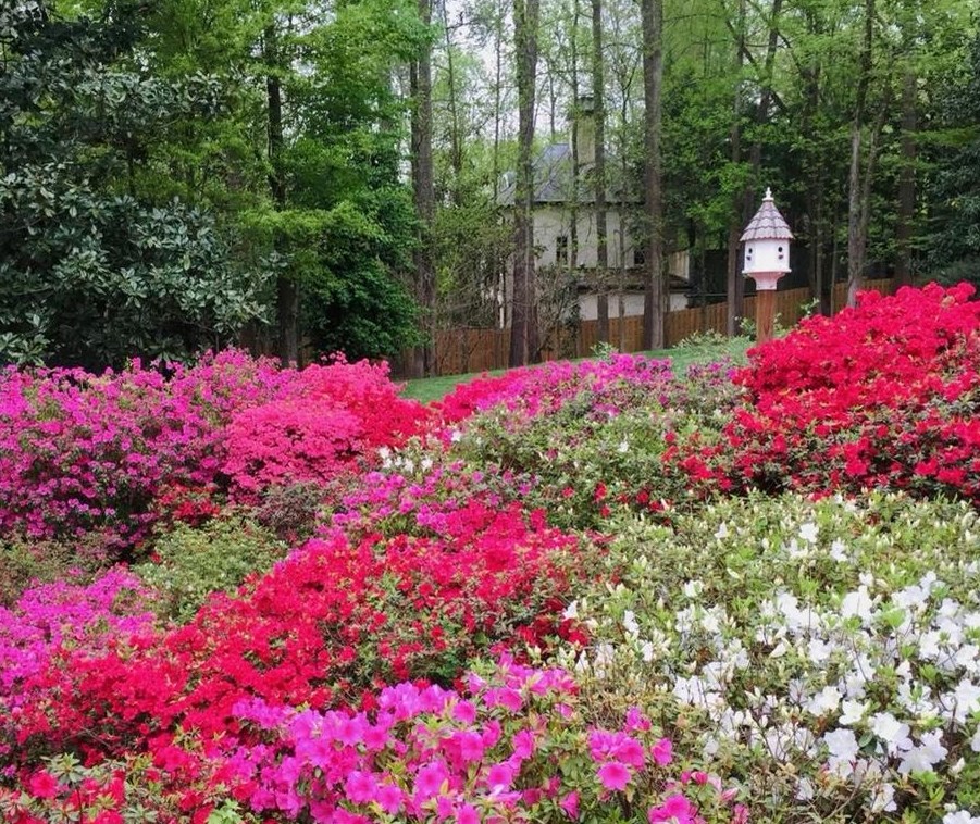740 Weatherly Ln, Atlanta GA  exterior