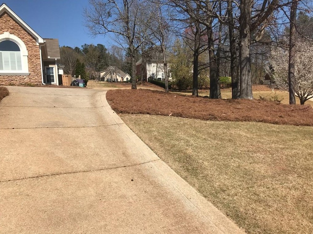 3090 Cherry Tree Walk, Douglasville, GA 30135-7318