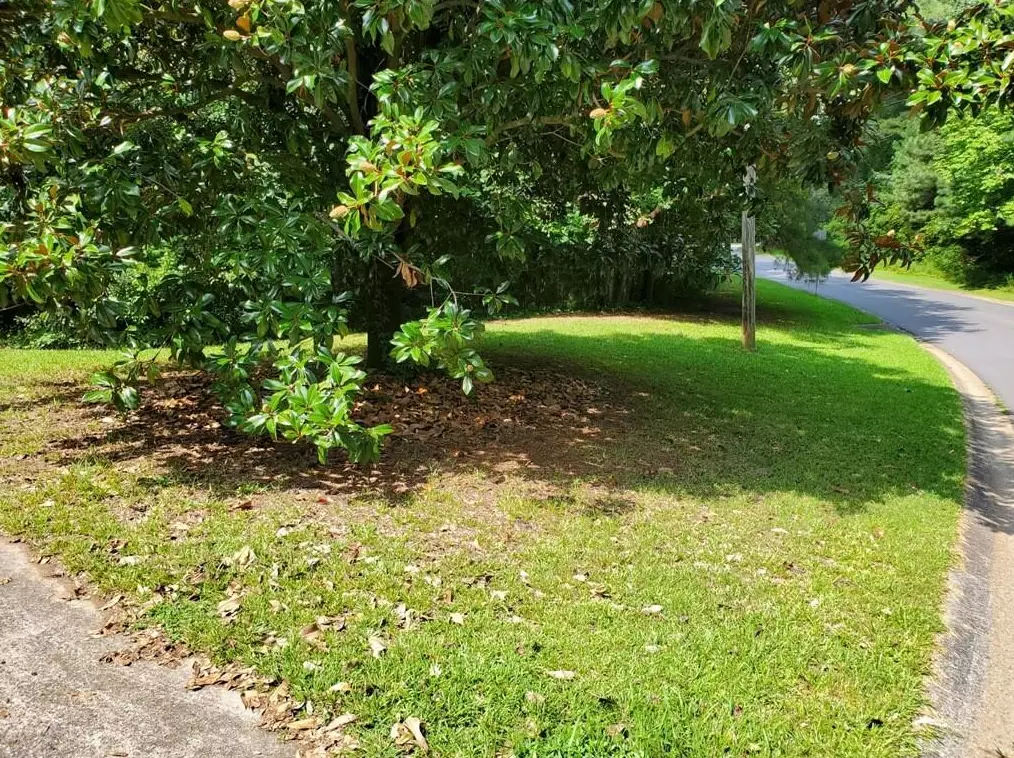 74 Maplewood Dr, Acworth, GA 30101