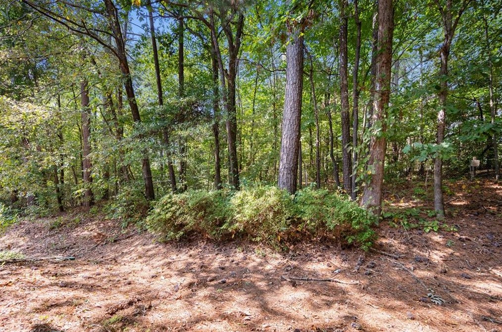 35 Fair Hvn Way, Smyrna GA  30080-8085 exterior