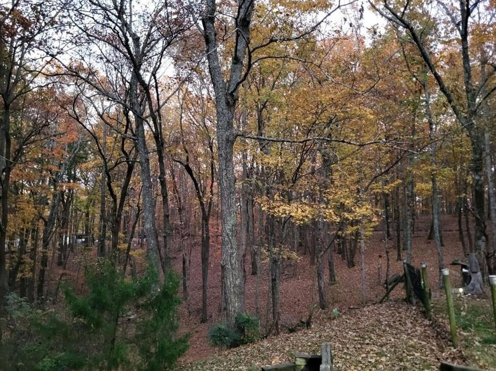 450 Richard Trail, Big Canoe, GA 30143